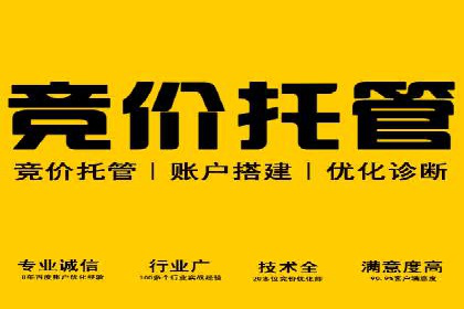 解析百度竞价排名的成功因素：以某公司为例